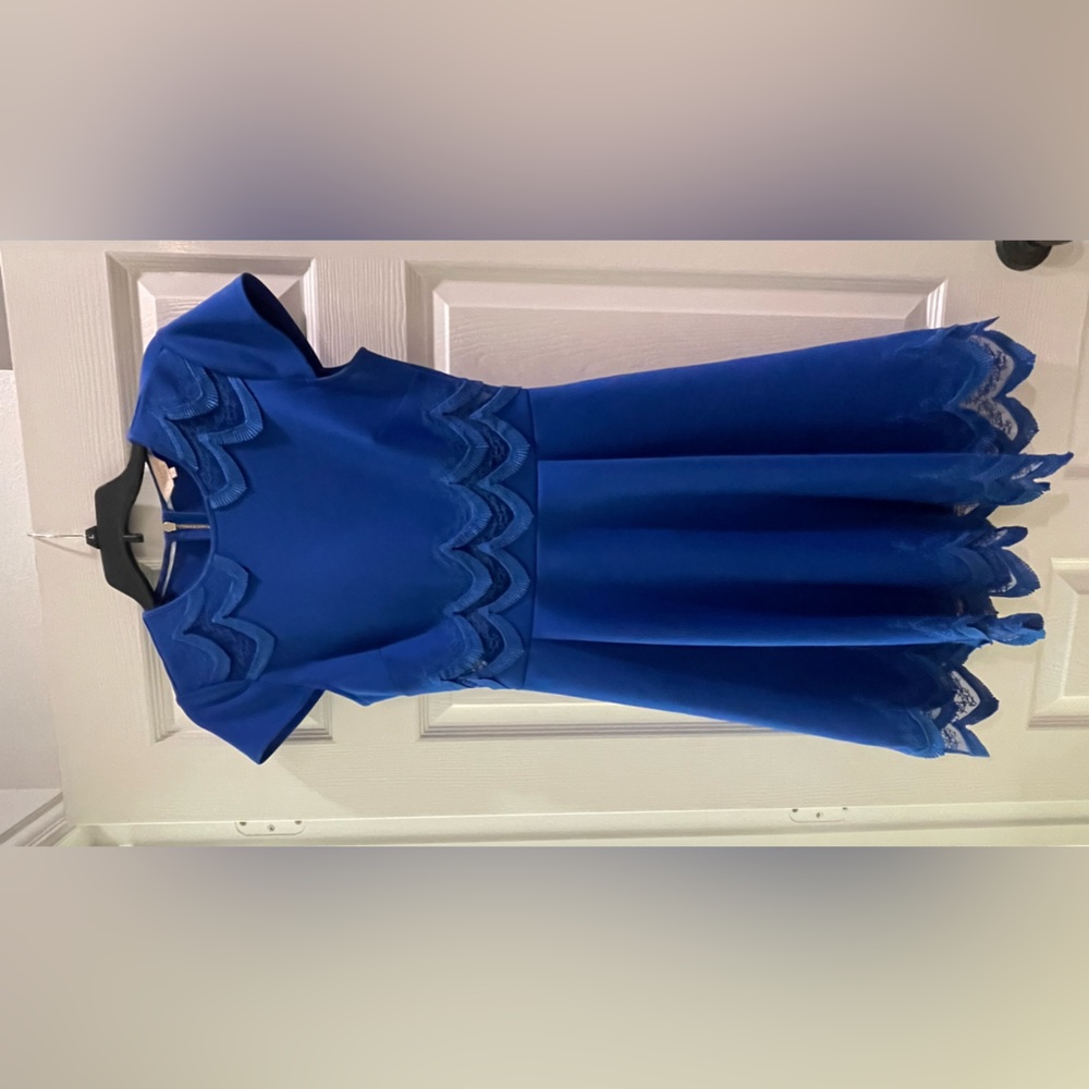 Ted Baker Blue Skater Dress size 2 (US 6)